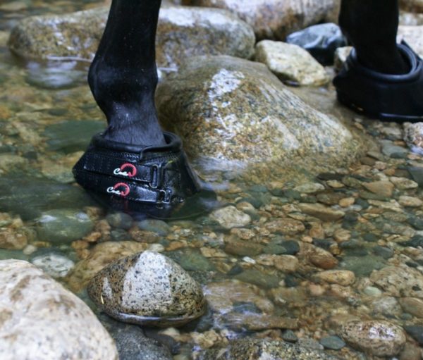 Black Cavallo Simple Horse Hoof Boots in stream water