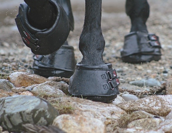Cavallo Black Simple Horse Hoof Boots