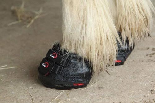 Cavallo Black Simple Hoof Boots