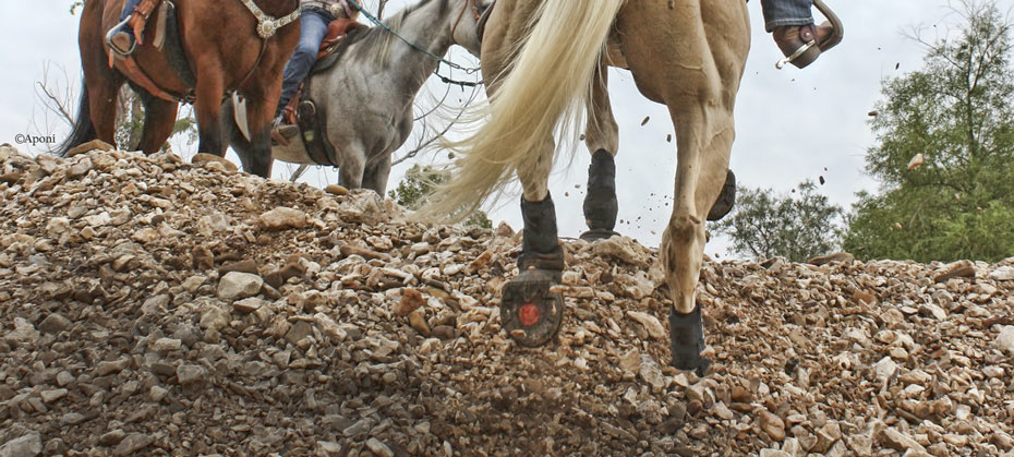 Cavallo Hoof Boots on rugged terrain