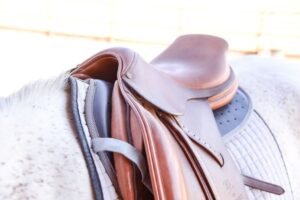 Cavallo English Saddle Pad under saddle