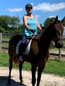 Cavallo English Wedge Saddle Pad testimonial