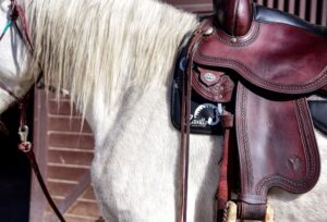 Cavallo Western Saddle Pad - Cavallo Horse & Rider