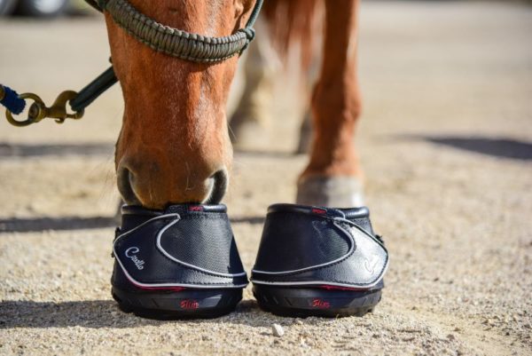 Cavallo Sport Horse Hoof Boots