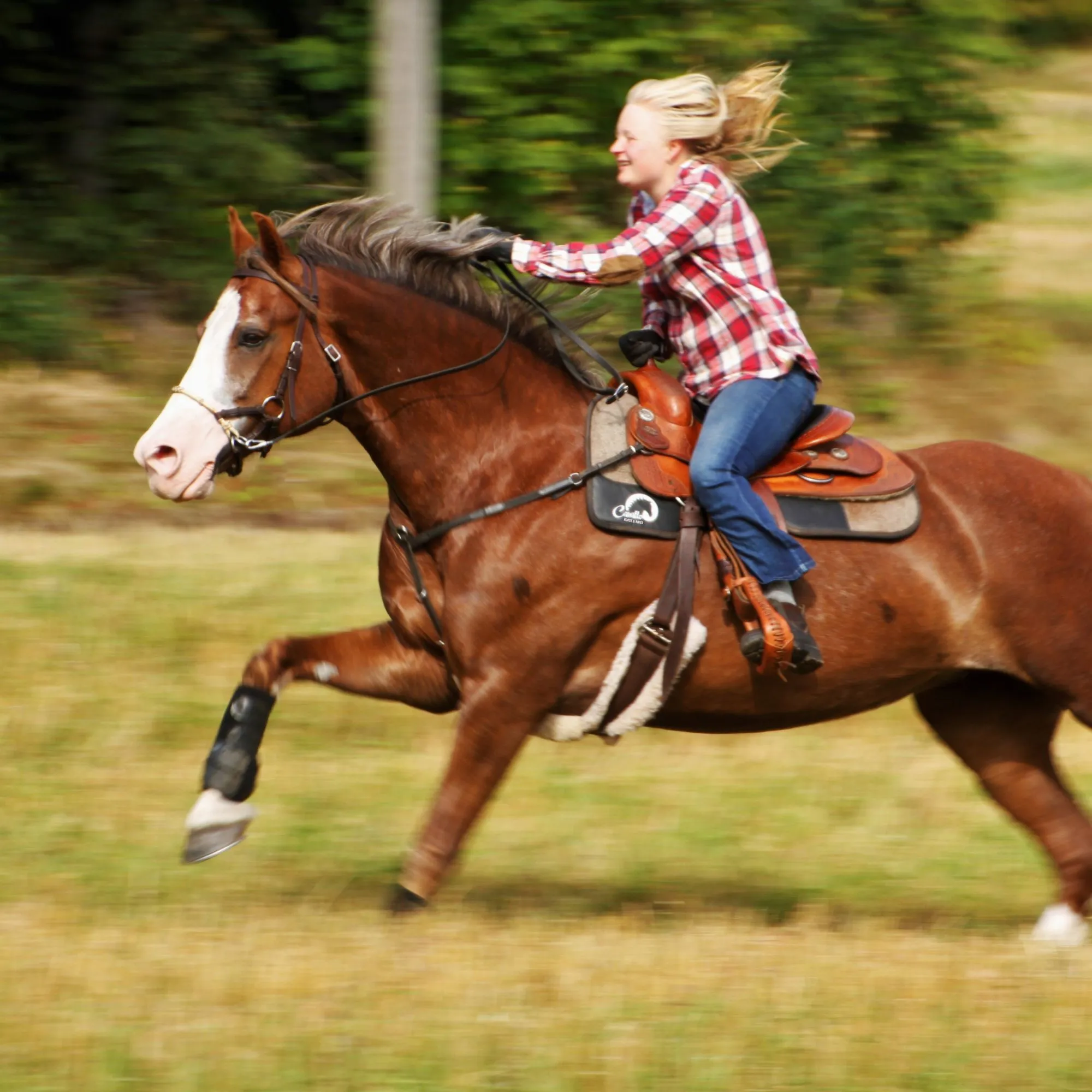 Gel pad or just saddle cloth - what to use while horseback riding