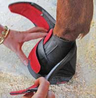 Comfort. Protection Pair Equine Cavallo Hoof Boots PASTERN WRAPS -  Horse 