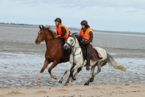 Cavallo Simple Boots Endurance Riding