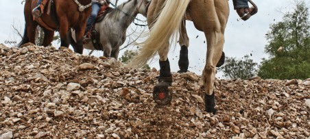 Cavallo Hoof Boots for Trail Riding