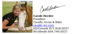Cavallo Horse and Rider Horse Hoof Boots and Saddle Pads