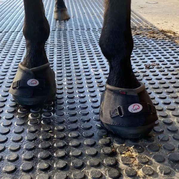 Cavallo ELB Horse Hoof Boots