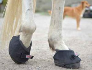 Cavallo ELB Entry Level Boot Horse Hoof Boot