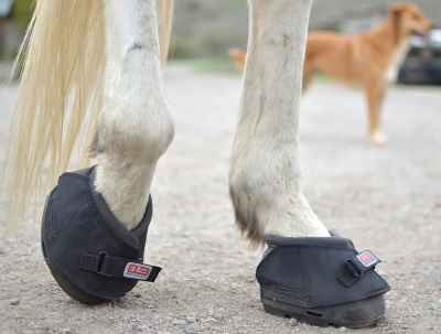 Black Cavallo Simple Hoof Boots for Horses Premium Condition Size 0 