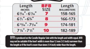 Cavallo BFB Measuring Chart