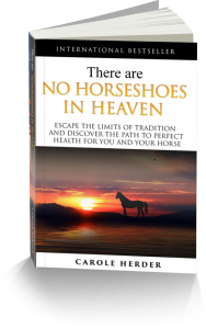 There are No Horseshoes in Heaven