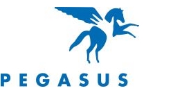 Image of Pegasus Therapeutic Riding Inc logo
