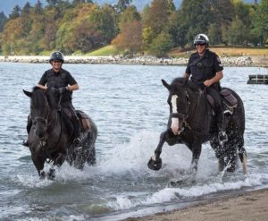 Vancouver Mounted Police in Cavallo Hoof Boots