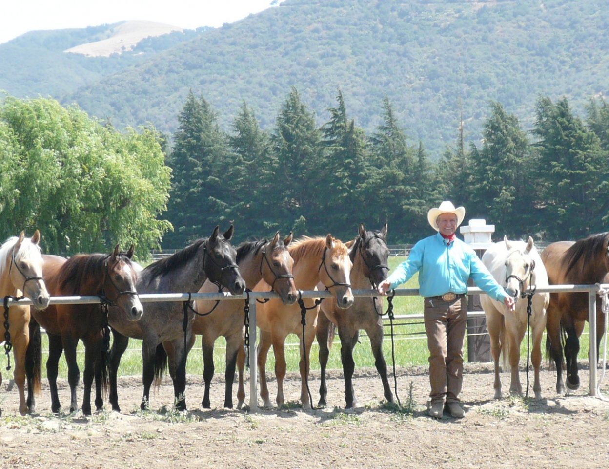 Monty Roberts with his horses