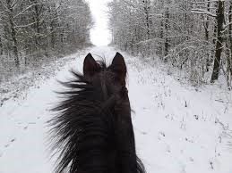 Winter Riding in Cavallos