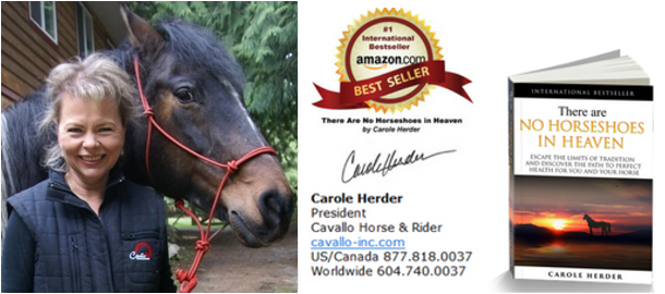 Carole Herder's Signature