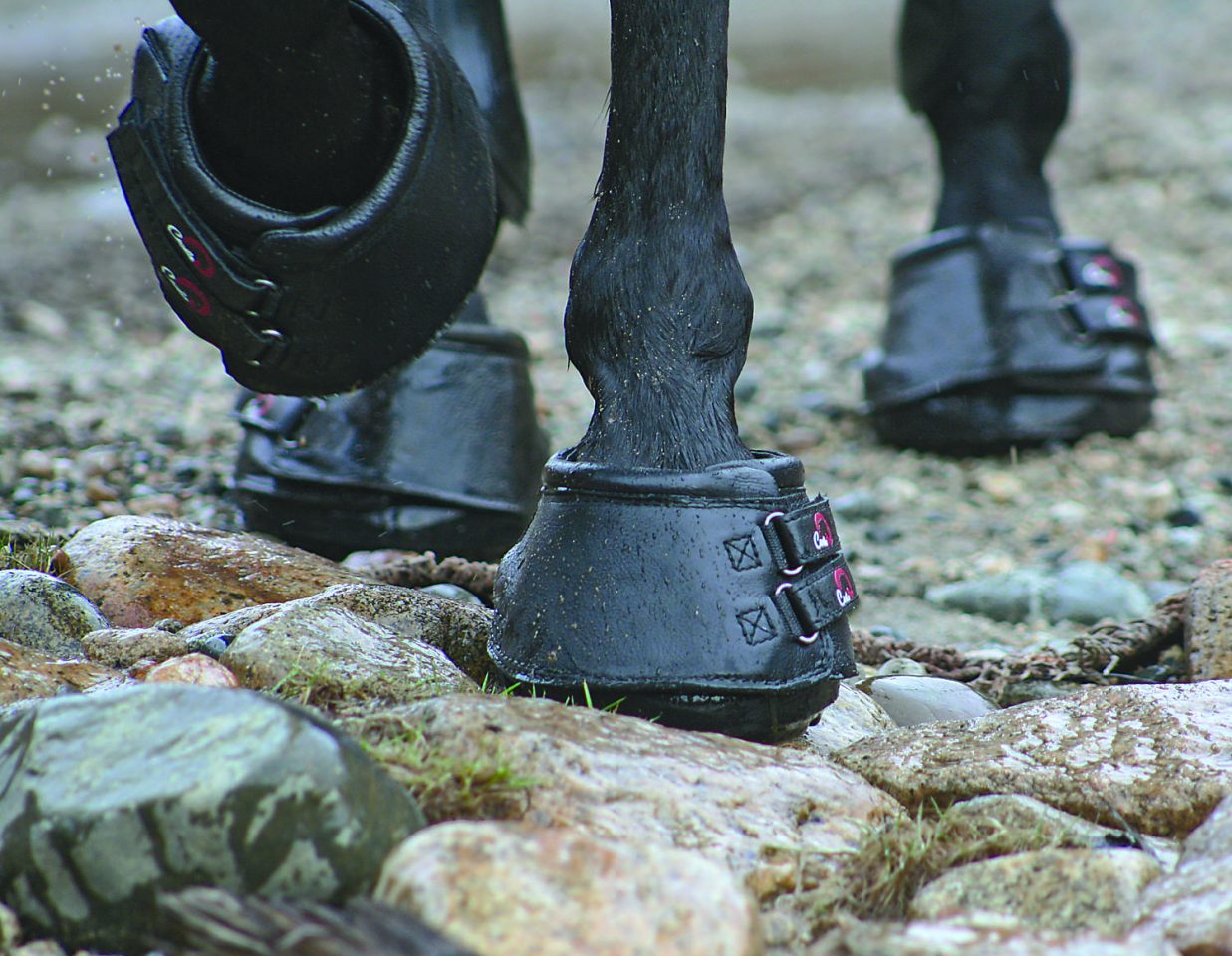 Innovative Cavallo Hoof Boots