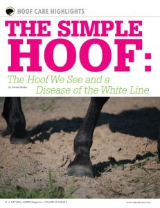 Carole Herder's White Line article in Natural Horse Magazine - July/Aug/Sept Issue 2018