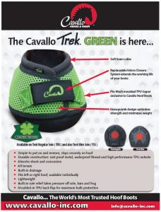 Cavallo Trek Green Hoof Boot