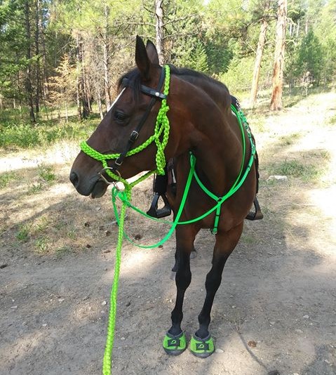 Cavallo Green Trek Horse Hoof Boots