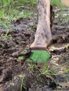 Trek Green Cavallo Horse Hoof Boots mud
