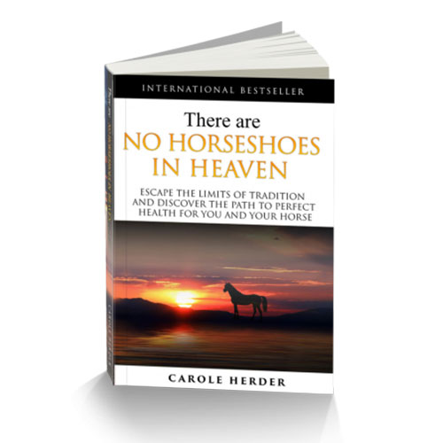 Carole Herder's Book There are no Horseshoes in Heaven