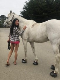 Rachel Long Nantucket Blue - Cavallo Transport Air horse hoof boots
