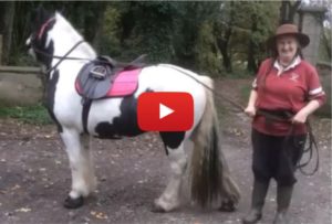 Allison McGinty and Apache - Using Cavallo Hoof Boots to heal Laminitis