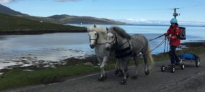 Emma Massingale Horse Boarding along ocean Devon with Cavallo Hoof Boots (2)