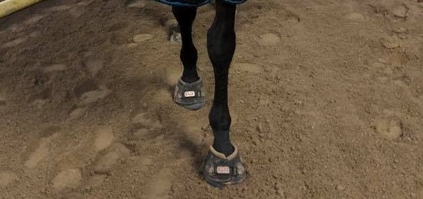 Missy Maggi - Facebook testimonial Cavallo ELB Horse Hoof Boots...