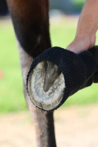 Cavallo Hoof Boots - comfort sleeves