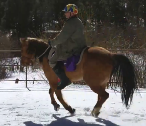 Adam Kittel - using Cavallo Hoof Boots - in snow