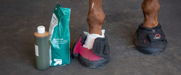 Cavallo Hoof Boots help with Laminitis & Hoof injury