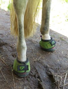 Cavallo Trek Boots holding on bandage for hoof puncture dressing