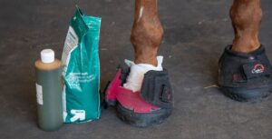 Cavallo Hoof Boots for Laminitis and hoof injury