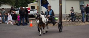 Cavallo CLB Hoof Boots Miniature Horse Driving