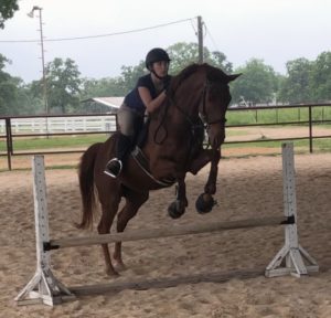 Jumping and eventing in Cavallo Hoof Boots