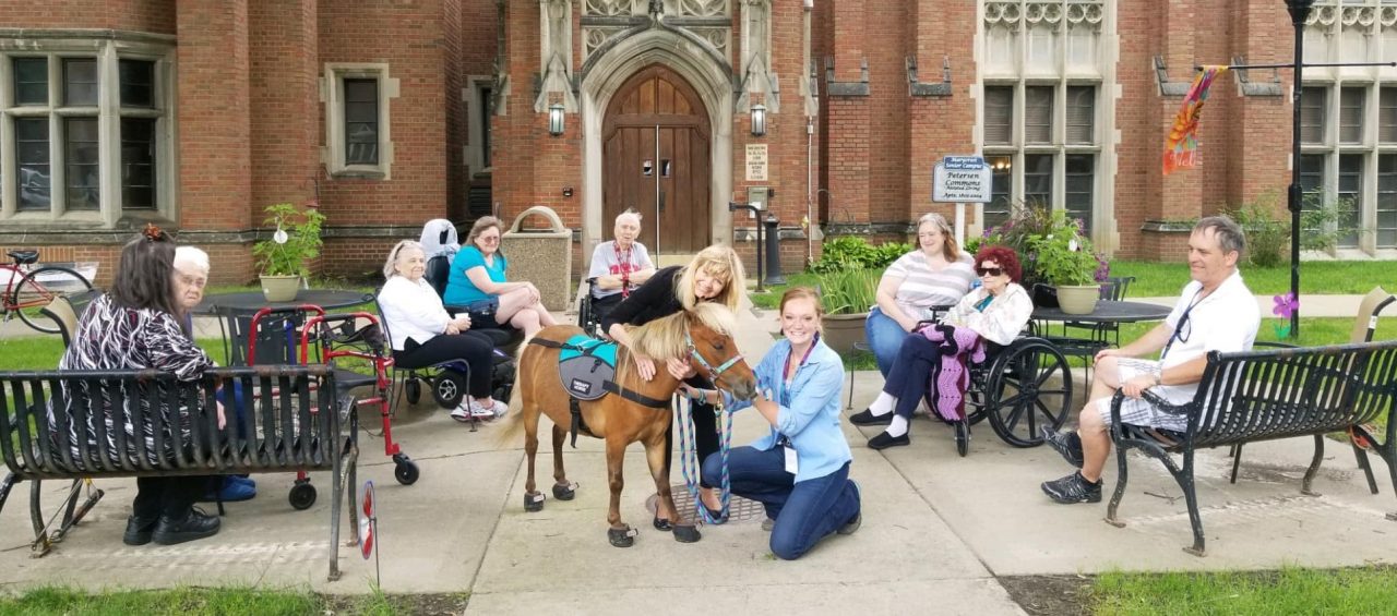 Dasie's Crew Equine Mini Horse therapy - Cavallo CLB Hoof Boots