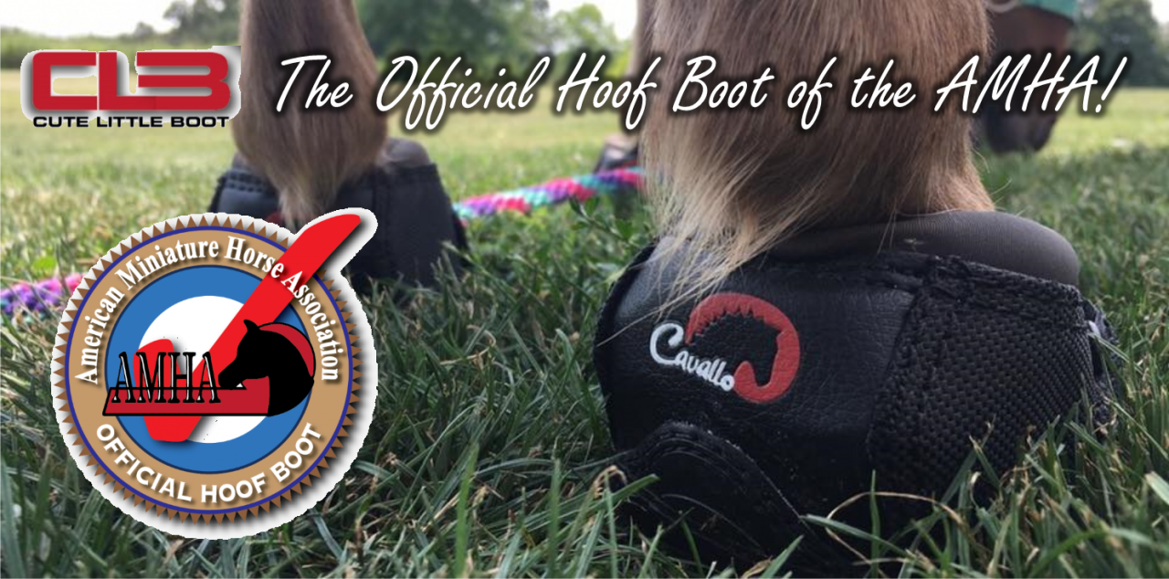Cavallo CLB Official hoof boot of the AMHA