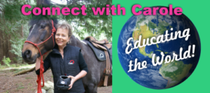 Carole Herder speaks about hoof care - Cavallo Horse Hoof Boots