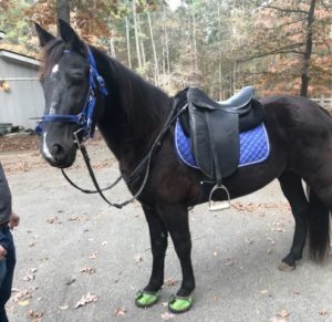Casey Bohon - Blind horse in Green Cavallo Trek Boots