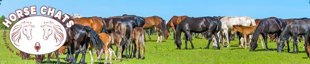 Horse Chats Australia - Carole Herder - Laminitis