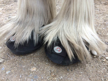 Feathers - Cavallo Hoof Boots BFB New Draft Sizes