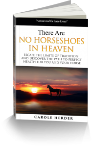 There Are No Horseshoes In Heaven