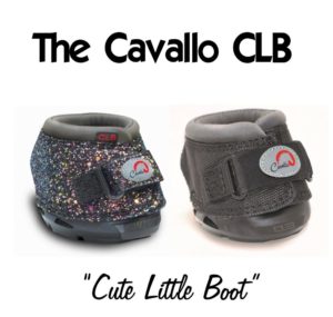Cavallo CLB Black & Bling Hoof Boots Minis