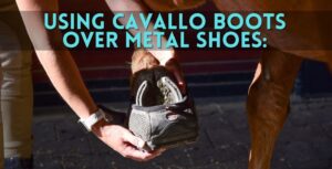Cavallo Boots for Shod horses overshoes for metal shoes