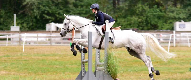 Cavallo Horse Hoof Boots for jumping